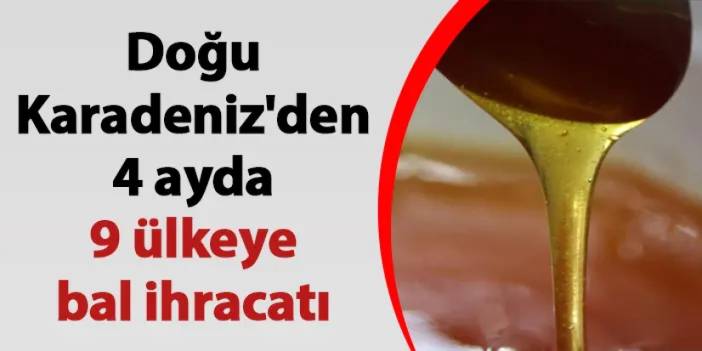 Doğu Karadeniz'den 4 ayda 9 ülkeye bal ihracatı