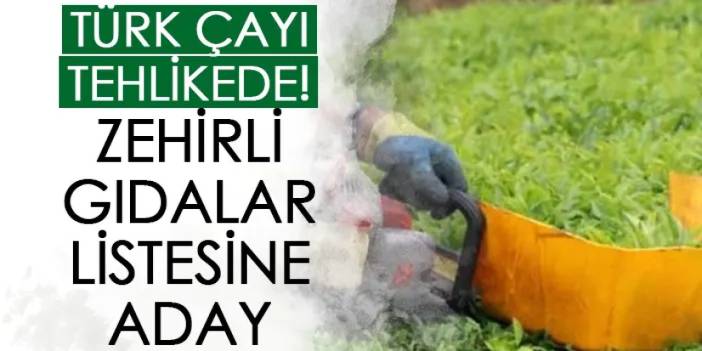 Türk çayı tehlikede! Zehirli gıdalar listesine aday