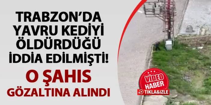 Trabzon'da yavru kediyi öldürdüğü iddia edilmişti! O şahıs gözaltına alındı