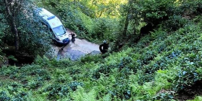 Rize'de çay keserken düşen kişi hastaneye kaldırıldı