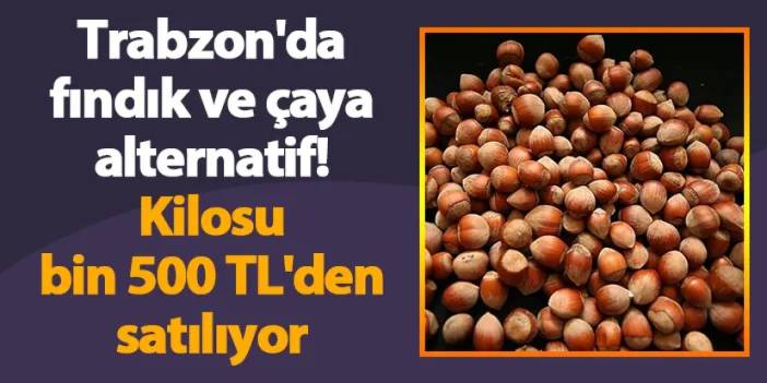 Trabzon'da fındık ve çaya alternatif! Kilosu bin 500 TL'den satılıyor