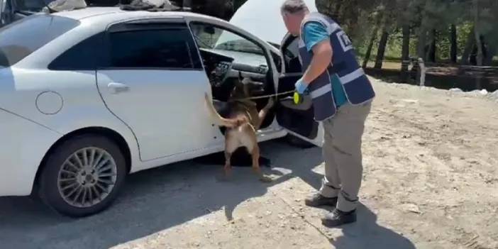 Samsun'da narkotik köpeği zuladaki uyuşturucuyu buldu