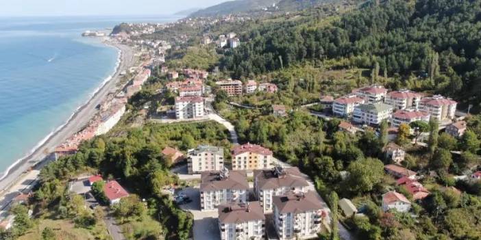 Kastamonu'da ilçeyi ayılar mesken tuttu! Vatandaşlar dışarı çıkamaz hale geldi