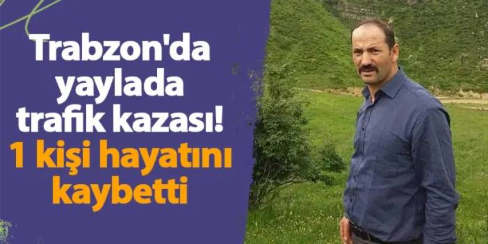 Trabzon'da yaylada trafik kazası! 1 kişi hayatını kaybetti