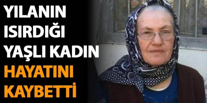 Artvin'de yılanın ısırdığı yaşlı kadın hayatını kaybetti!