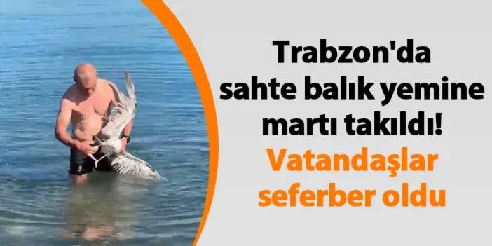 Trabzon'da sahte balık yemine martı takıldı! Vatandaşlar seferber oldu