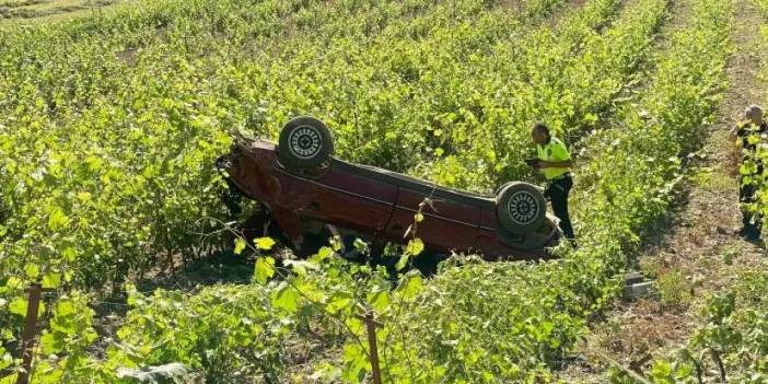 Tokat'ta otomobil üzüm bağına devrildi: 1 yaralı