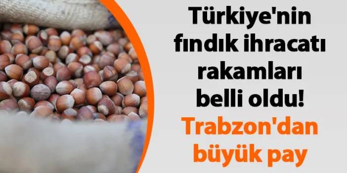 Türkiye'nin fındık ihracatı rakamları belli oldu! Trabzon'dan büyük pay