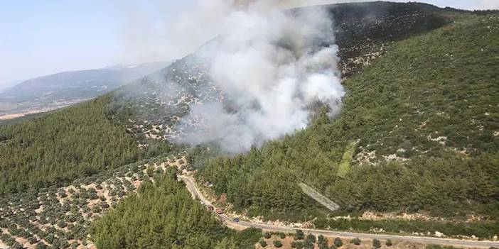 Muğla'da 2 hektarlık alanın yanma sebebi bakın neymiş