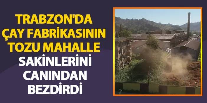 Trabzon'da çay fabrikasının tozu mahalle sakinlerini canından bezdirdi