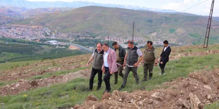 Bayburt'u yeşile bürüyecek dev proje! Trabzon'dan da destek sağlanıyor