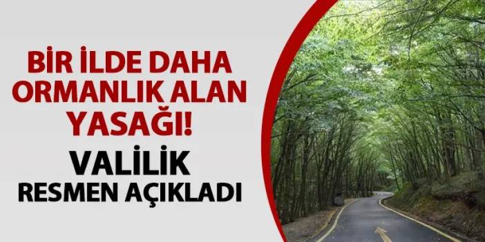 Bir ilde daha ormanlık alan yasağı! Valilik resmen açıkladı