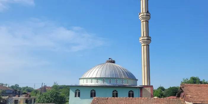 Samsun'da cami kubbesi 12 yıldır leyleklere yuva oluyor