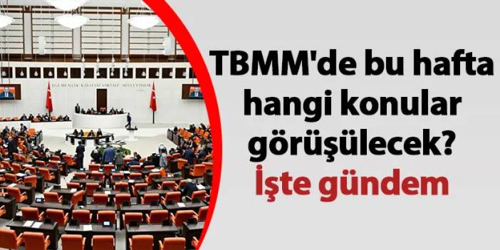 TBMM'de bu hafta hangi konular görüşülecek? İşte gündem