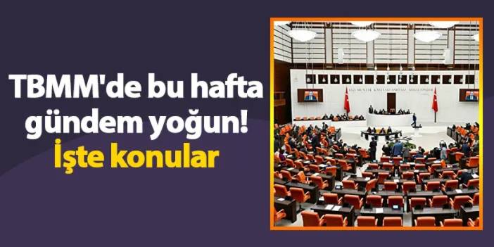 TBMM'de bu hafta gündem yoğun! İşte konular