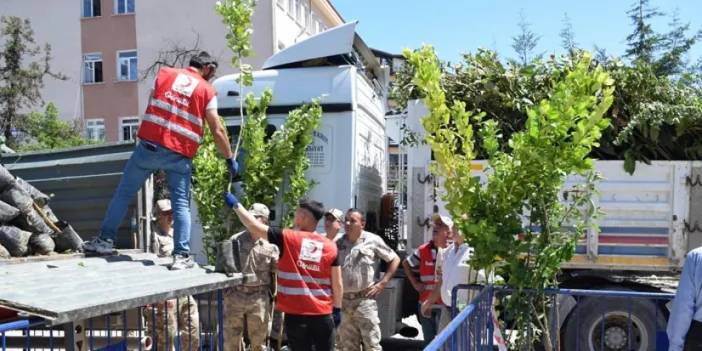 Ordu'da kan verene 10 meyve fidanı hediye