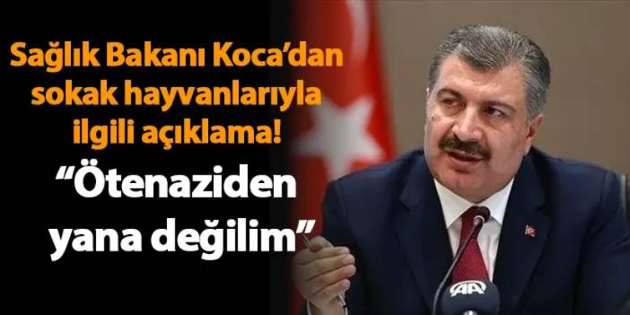 Sağlık Bakanı Koca’dan sokak hayvanlarıyla ilgili açıklama! “Ötenaziden yana değilim”