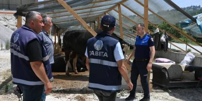 Samsun'da kurban denetimleri arttı