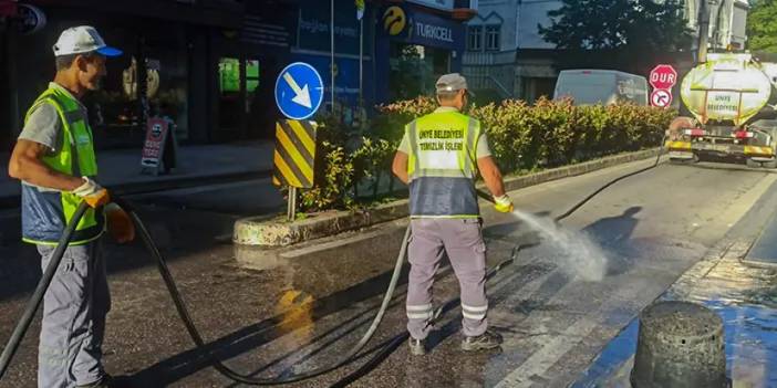 Ünye Belediyesi'nden temizlik seferberliği