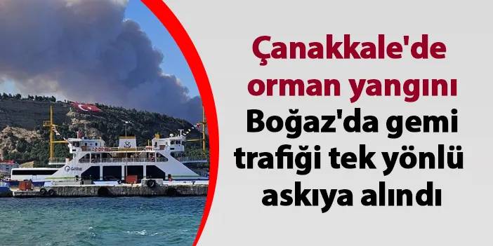 Çanakkale'de orman yangını: Boğaz'da gemi trafiği tek yönlü askıya alındı