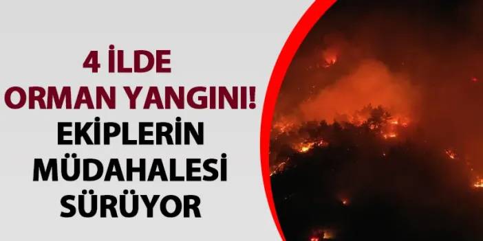 4 ilde orman yangını! Ekiplerin müdahalesi devam ediyor