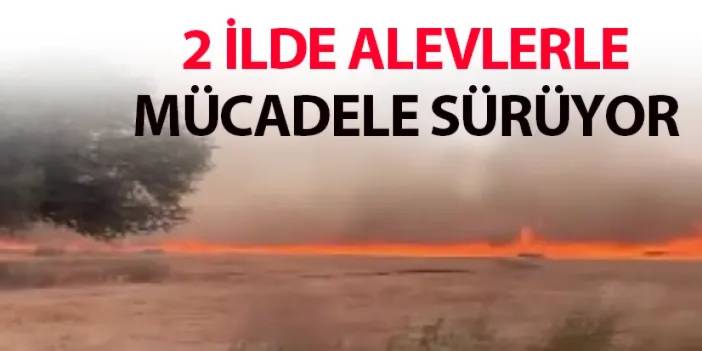 2 ilde alevlerle mücadele devam ediyor!