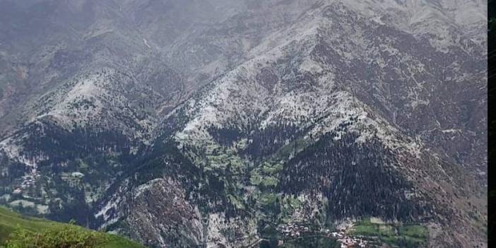 Artvin'de dolu yağışı tarım arazilerine zarar verdi