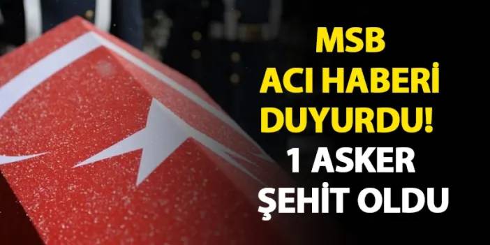 MSB acı haberi duyurdu! 1 asker şehit oldu