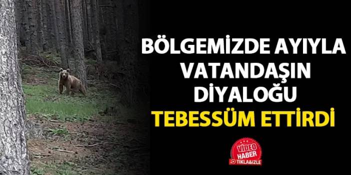 Ordu'da ayı ile vatandaşın tebessüm ettiren diyaloğu!