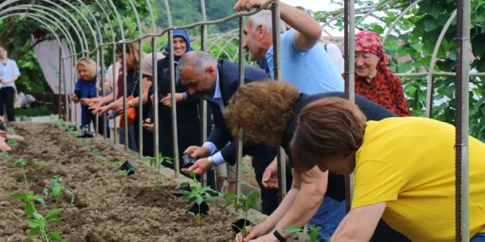 Ata tohumlardan yetiştirilen fideler Trabzon'da toprakla buluştu