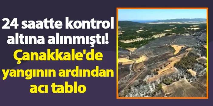 24 saatte kontrol altına alınmıştı! Çanakkale'de yangının ardından acı tablo