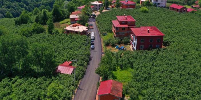 Ordu'da kırsal alanda oturanlara müjde! Asfalt çalışmaları başladı