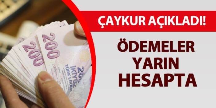 ÇAYKUR açıkladı: Ödemeler yarın hesapta!