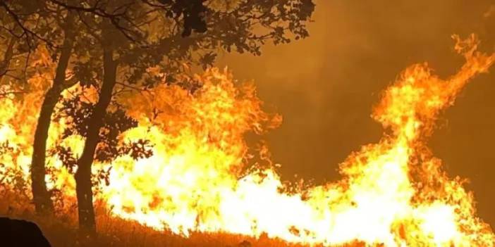 Adıyaman'da orman yangını! Ekipler söndürme çalışmalarını sürdürüyor