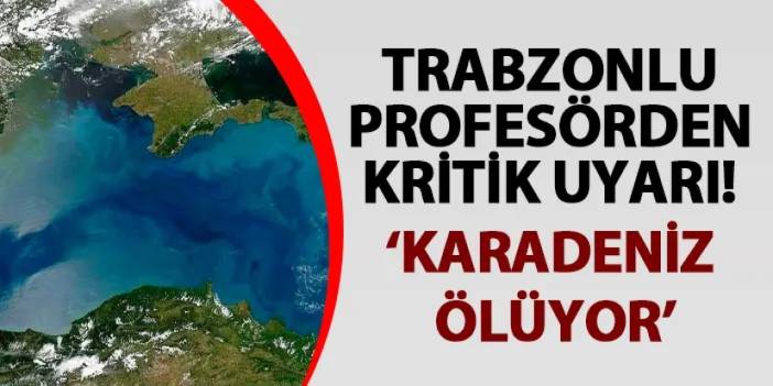 Trabzonlu profesörden kritik uyarı! ‘Karadeniz ölüyor’