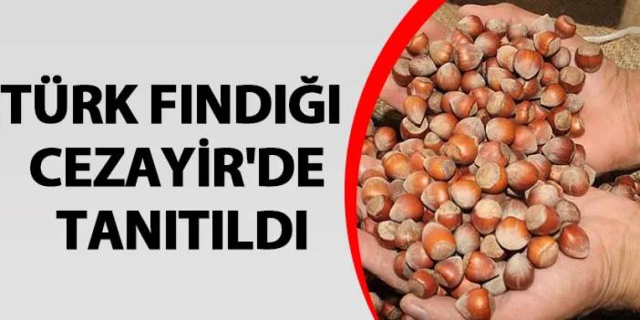 Türk fındığı Cezayir'de tanıtıldı