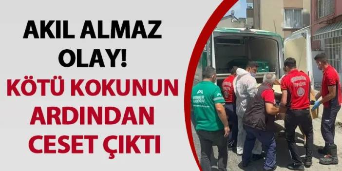 Mersin’de akıl almaz olay! Kötü kokunun ardından ceset çıktı