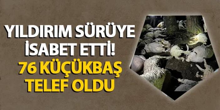 Amasya'da sürüye yıldırım düştü! 76 hayvan telef oldu