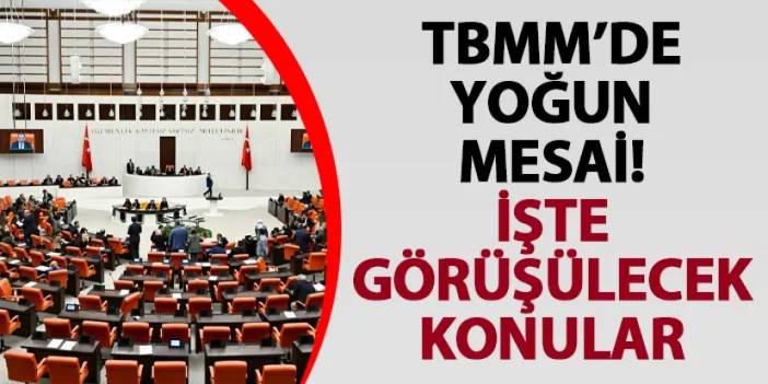 TBMM’de yoğun mesai! İşte görüşülecek konular