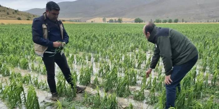 Bayburt'u dolu ve sağanak vurdu! Ekili alanlar zarar gördü