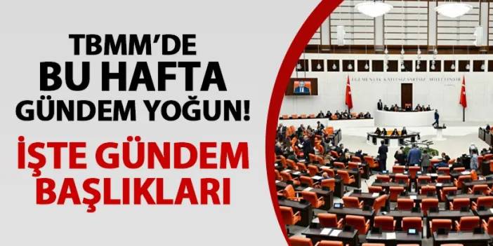 TBMM'de bu hafta gündem yoğun! İşte ele alınacak konular