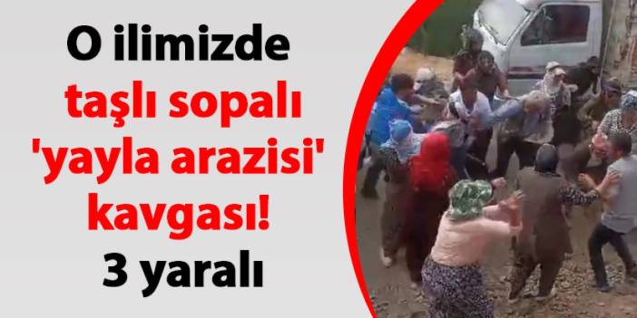 Van'da taşlı sopalı 'yayla arazisi' kavgası! 3 yaralı