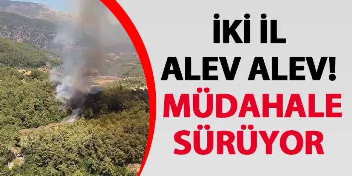 İki il alev alev! Müdahale sürüyor