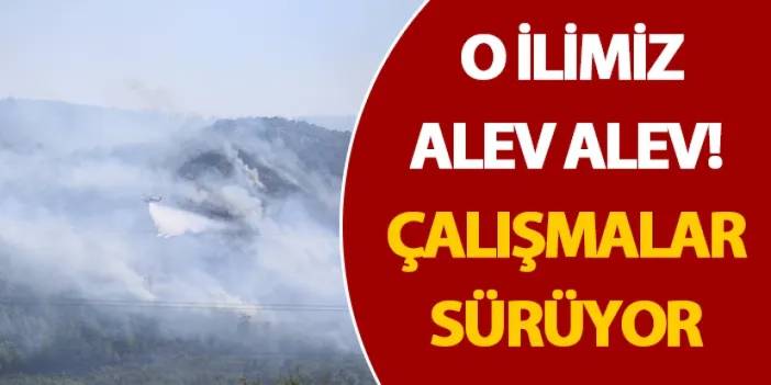 Muğla alev alev! Çalışmalar sürüyor