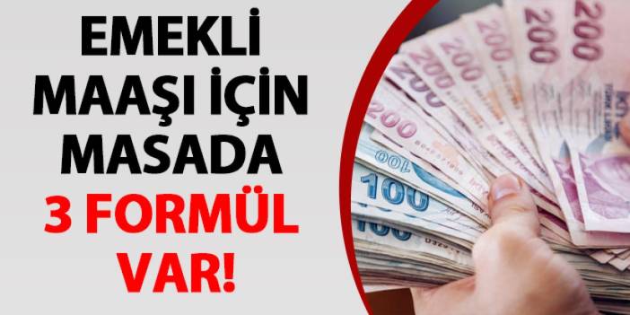 Emekli maaşı için masada 3 formül var!