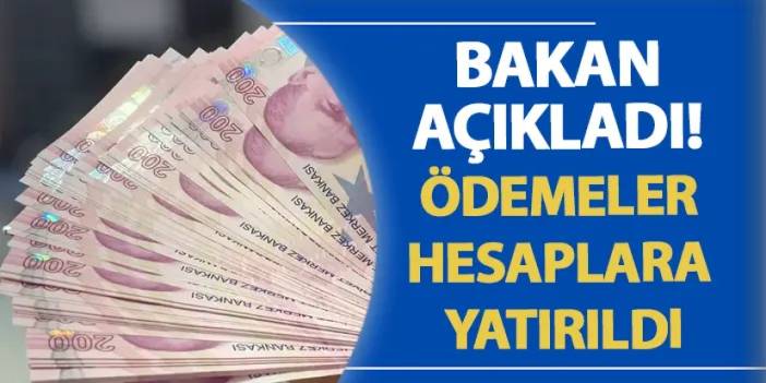 Bakan açıkladı! Ödemeler hesaplara yatırıldı