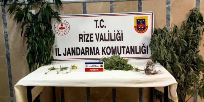 Rize’de uyuşturucu operasyonu! 5 kişi yakalandı