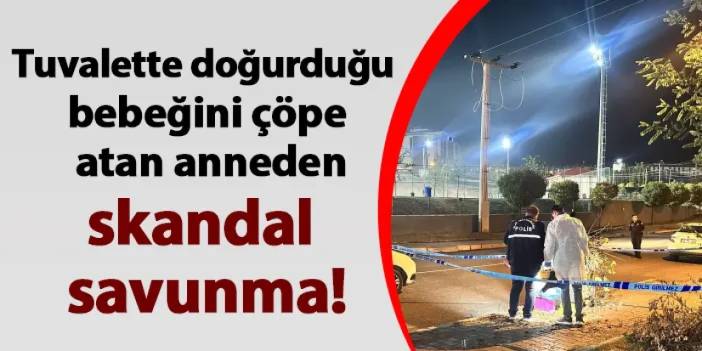 Kastamonu'da tuvalette doğurduğu bebeğini çöpe atan anneden skandal savunma!