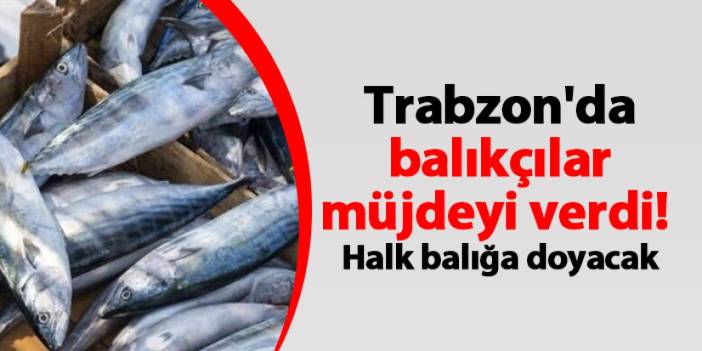 Trabzon'da balıkçılar müjdeyi verdi! Halk balığa doyacak