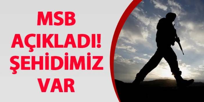 MSB açıkladı! Şehidimiz var